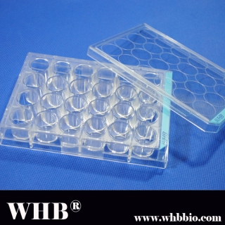 Tissue culture plates